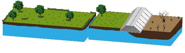 Figure 3.2. Before (left) and after (right): road in fill blocking subsurface streams, causing wetting upflow and drying downflow