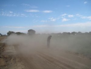 Road dust: source of health and other problems