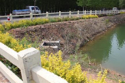 One of a string of ponds collecting roadside drainage water for irrigation in Shandong, PRC