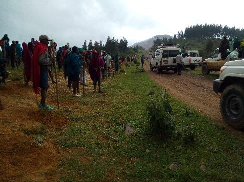 Roadside tree-planting campaign in Amhara, Ethiopia