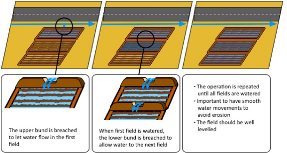 Road runoff is directed to interconnected soaking pits (Sambalino et al. 2016)