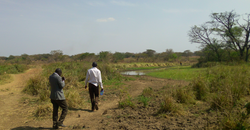 Raised road embankment and raised culverts creating local wetland in Kotomor, Agago (North Uganda) (source: Aidenvironment)