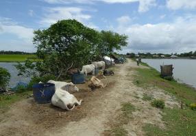 Embankments used as temporary flood shelters