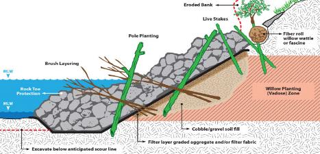 1. Bio-engineering measures for road side-slope stabilization